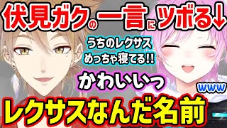 「レクサス」の意味がわからない伏見ガクに爆笑する夕陽リリ【切り抜き にじさんじ夕陽リリ 伏見ガク】 [upl. by Templa]