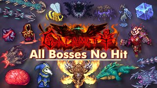 Terraria Calamity Mod  All Bosses NoHit Death Mode [upl. by Auqinihs291]