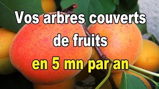 Verger Couvrez vos arbres de fruits en seulement 5 minutes par an [upl. by Eahcim]