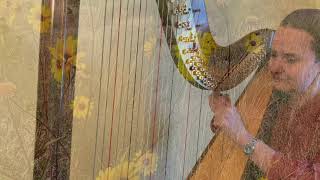 Redeemed How I Love to Proclaim It Hymn  Harp  Elizabeth Brosha [upl. by Arocahs]