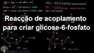 Reacção de acoplamento para criar glicose6fosfato  Energia e enzimas  Biologia  Khan Academy [upl. by Jegger]