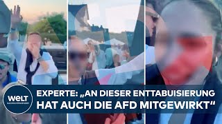 NAZIEKLAT AUF SYLT  ExtremismusForscher quotNormalisierung rechtsextremistischer Positionenquot [upl. by Tabb10]