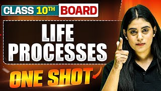 WARRIOR 2025 LIFE PROCESSES in 1 Shot FULL CHAPTER Theory  PYQs  Class 10th Boards [upl. by Isahella]