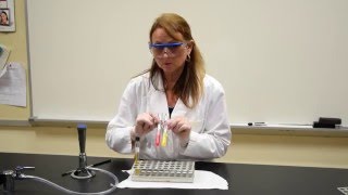 How to Inoculate amp Interpret a PRDB or PRLB Tube  MCCC Microbiology [upl. by Nnylav658]