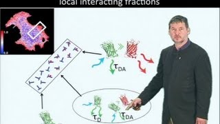 Microscopy Fluorescence Lifetime Imaging Microscopy FLIM Philippe Bastiaens [upl. by Emelin320]