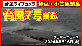 【ライブカメラ】台風7号 関東接近 〜伊豆・小笠原諸島〜 2024816 [upl. by Basilio]