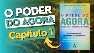 01  O PODER DO AGORA  Capítulo 1  Audiobook  Eckhart Tolle [upl. by Yntruoc980]