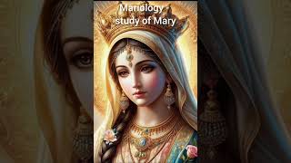 Interesting Facts About Mariology  The Study Of Mary shorts [upl. by Imtiaz]