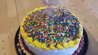 100000 Sprinkles on a Cake not really 100000 Subscriber Special [upl. by Ocir]