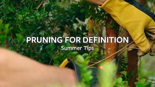 How to prune for definition  Grow at Home  RHS [upl. by Aleetha682]