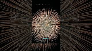 How Do Fireworks Really Work Uncover the Explosive Mechanism Inside  How do Diwali fireworks work [upl. by Benedicta200]