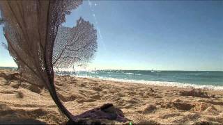 Plan Your Visit Dry Tortugas National Park [upl. by Mccoy]