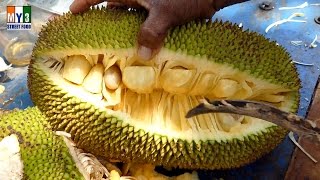 FRUITS ON STREETS  BLACK JAMUN  JACK FRUIT  MANGO [upl. by Zitah]