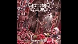 Decomposed Existence  Chambers of Torture [upl. by Airdnahs858]