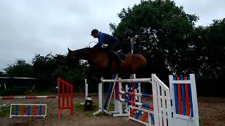 Lady Daragh owned by Wayne Kennedy jumping 1 metre 60 [upl. by Charline]