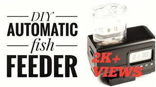 How to DIY automatic fish feeder12hr [upl. by Ynot929]