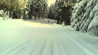 Skilanglauf Abfahrt in Oberhof [upl. by Sucirdor]