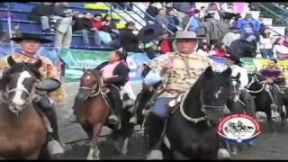 Rodeo Chileno Historia y Reglas generales [upl. by Jayme888]