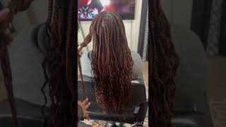 Colors 35030 and 4 knotless braids [upl. by Enneyehc]