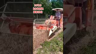 HighPerformance Wheat Cutting and Threshing Machinery for Streamlined Harvesting [upl. by Arimahs]