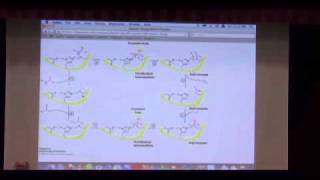 Catalytic Strategies [upl. by Durnan55]