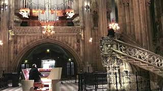 Proben Parsifal im Stephansdom [upl. by Enaile]