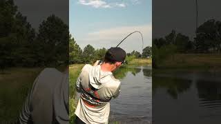 Giant Bass on a Topwater Frog Booyah Pad Crasher Jr [upl. by Anairda]