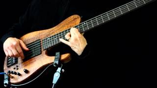 Fodera Bass Solo Composition Corridors excerpt [upl. by Maye685]