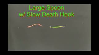 Spoons w SD Show Video [upl. by Ellehcem]