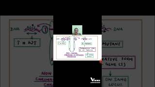 GENES AND ALLELES shorts BSC MSC ZOOLOGY LIFE SCIENCE SET LIFE SCIENCE CUET PG UPSC CSIRNET [upl. by Rayham]