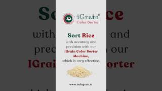 Get the best quality Rice sorter machine from Igrain Color Sorter [upl. by Remled]