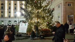 Accensione albero di Natale in piazza De Ferrari a Genova [upl. by Lledo]