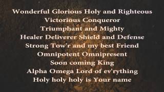 Lord Youre Holy w lyrics [upl. by Bilow951]