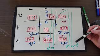 Brain stem lesions chart for Neuro review Step 1 [upl. by Kristine953]