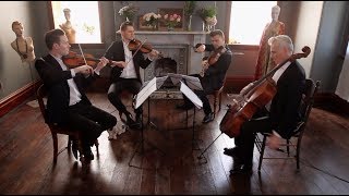 Skyfall  James Bond  Stringspace String Quartet [upl. by Cusack]