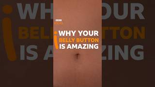 Do you have an innie or an outie BellyButton Anatomy BBCIdeas [upl. by Atsahc]