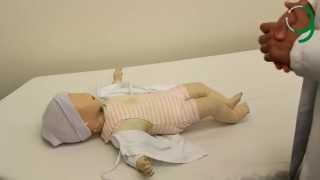 Neonatal Examination [upl. by Nnayelsel]