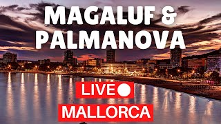 🔴 LIVE Magaluf to Palmanova Mallorca Majorca Spain  14 August 2022 [upl. by Teague]