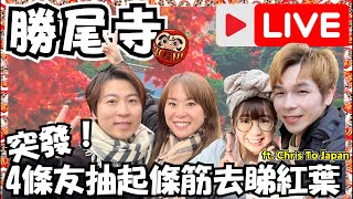 ￼突發直播！再訪勝尾寺還神🙏🏻新一年目標訂閱人數係⋯？（ft christojapan ）｜JOY TV [upl. by Sonny]