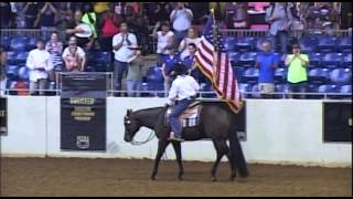 Its A Southern Thing  AQHA Bay Stallion [upl. by Delgado]