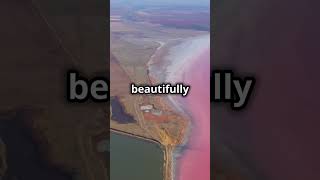 Lake Hillier Australia’s Stunning Pink Lake 🌸  Nature’s Hidden Gem [upl. by Atnauq]