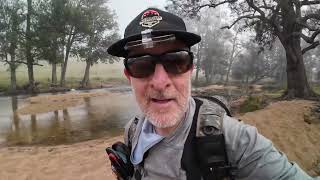 Coxs River downstream from Glenroy Bridge  Skunked but 2 platypuses  28 April 2024 [upl. by Ahsai]