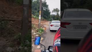 Keraladogfollowingcarroad [upl. by Devondra135]