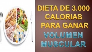 Dieta Para Aumentar La Masa Muscular  Dieta 3000 Kcal [upl. by Perla920]