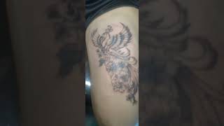 Tatuaje de Ave Fenix  Phoenix Tattoo  Time lapse [upl. by Brace]