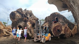 Special trembesi wood bought by wood collector 3 Billion resin cafe table  sawmills in action [upl. by Kenon]