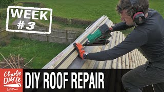 Complete Roof Repair  Week 3 [upl. by Abbot]