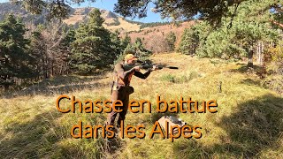 Chasse en battue dans les Alpes 💥 des postes magnifiques [upl. by Eramal773]