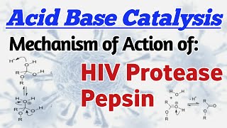 Acid Base Catalysis Mechanism of Action of HIV Protease Action of Aspartic protease family enzymes [upl. by Shurwood214]