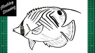 How to Draw a Threadfin Butterflyfish [upl. by Eila]